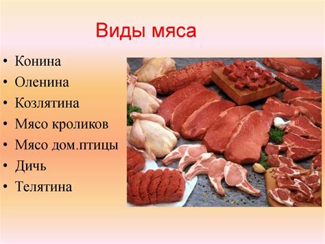 Мясо и мясные продукты: богатый источник питательного железа