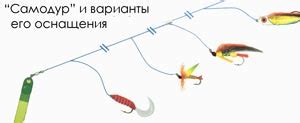 Набор правильного снаряжения и подбор приманок