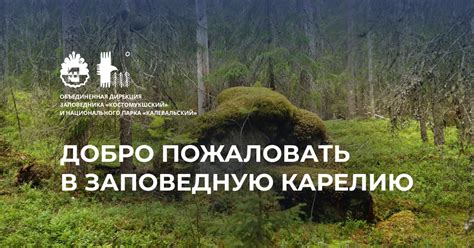 Назначение заповедника и национального парка