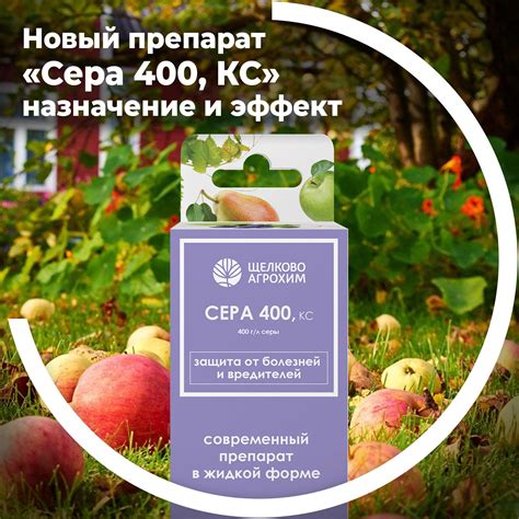 Назначение и эффект