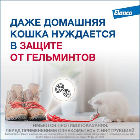 Назначение препарата для взрослых