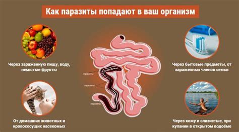 Народные методы лечения глистов у детей