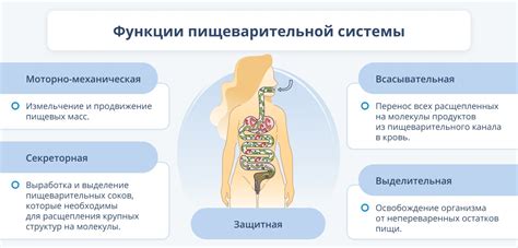 Нарушение процесса переваривания пищи