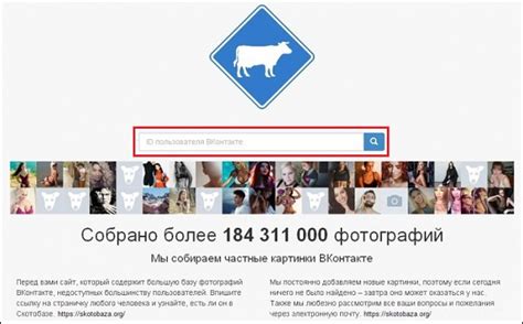 Наслаждайтесь уникальным контентом на ТНТ Премьер