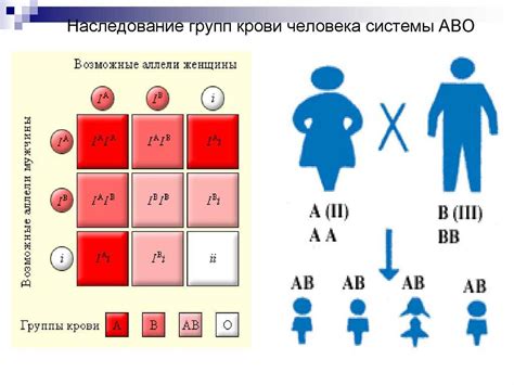 Наследование группы крови от родителей у ребенка