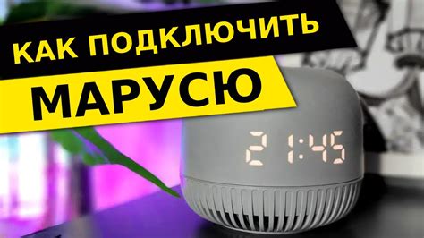 Настройка функционала Марусе Нео: начальные шаги