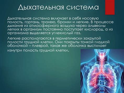 Настройки нового устройства: особенности и основные функции