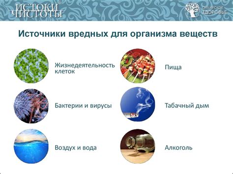 Натуральные способы очистки организма от вредных веществ