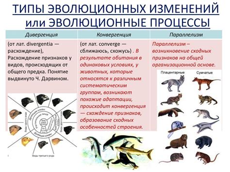 Натуральный отбор: главный механизм эволюционных изменений