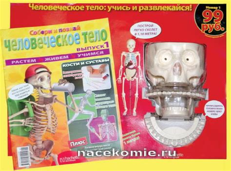Начало работы: сборка скелета и основы транспортного средства