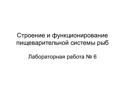 Негативное влияние на функционирование пищеварительной системы