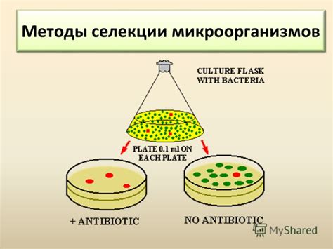 Негативное воздействие препаратов на баланс микроорганизмов у детей