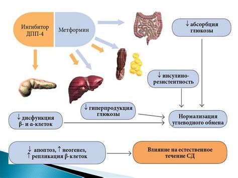 Недостатки глидиаба и метформина