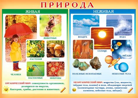 Неживая природа: основные составляющие неорганических веществ