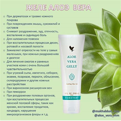 Нежное и увлажняющее решение: преимущества Алоэ Вера в качестве смазки