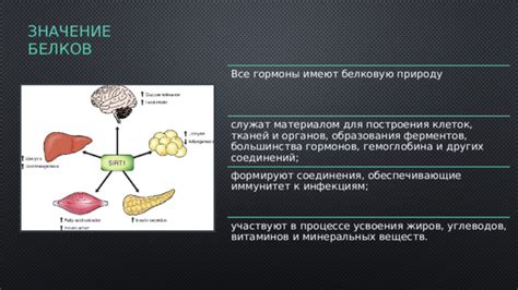 Необходима для образования гормонов и ферментов