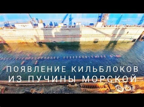 Необходимость защиты и заботы: важная символика вынимания малышей из морской пучины