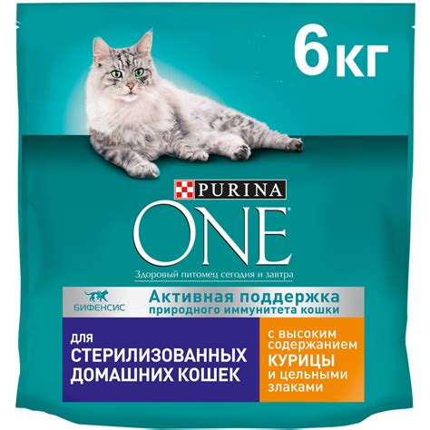 Необходимость особого питания для стерилизованных кошек в домашних условиях