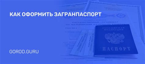 Необходимые документы для оформления загранпаспорта в центре предоставления государственных услуг