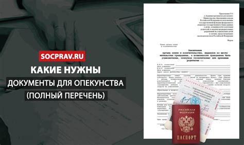 Необходимые документы для оформления опеки: подробный перечень