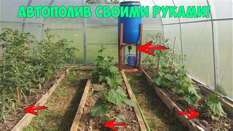 Необходимые инструменты для создания поддержки растений в теплице
