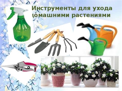 Необходимые инструменты и материалы для создания топки в замкнутом растительном контейнере
