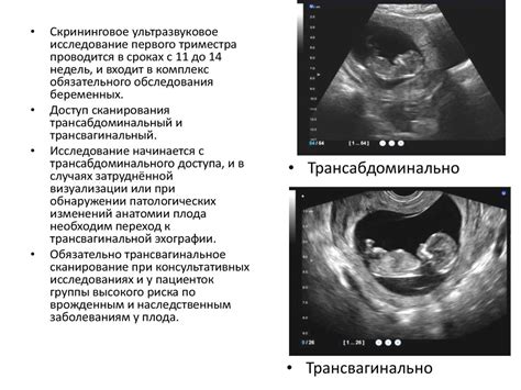 Необходимые исследования и обследования во время первого триместра беременности