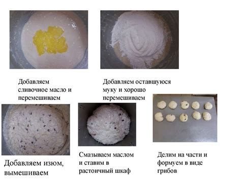 Необходимые компоненты для приготовления экзотического кулинарного блюда