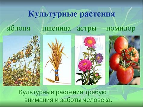 Необходимые компоненты для создания заграждений из культурного растения