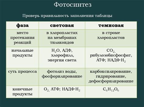 Необходимые продукты и этапы смешивания