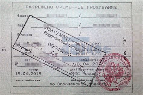 Неотъемлемая часть процесса оформления РВП и видов на жительство: необходимые документы