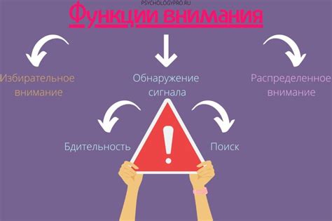 Неудовлетворение эмоциональных потребностей партнера: важность внимания и поддержки