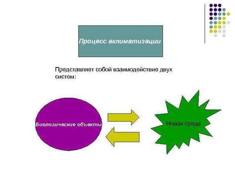 Новая среда и процесс приспособления