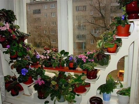 Новые направления в оформлении горшков с фиалками на подоконнике