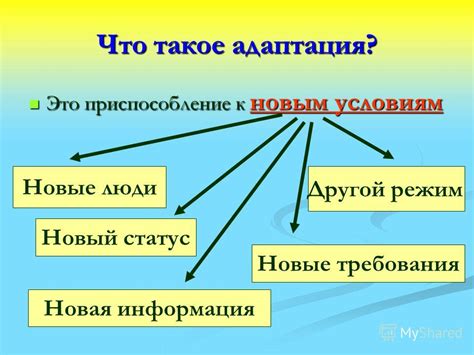 Новые обязанности и требования: приспособление к изменениям