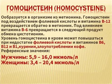 Норма гомоцистеина у женщин