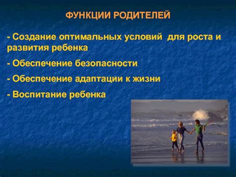 Обеспечение Виктории оптимальных условий для роста и развития