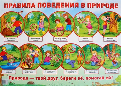 Обеспечение безопасности на природе: ценные рекомендации