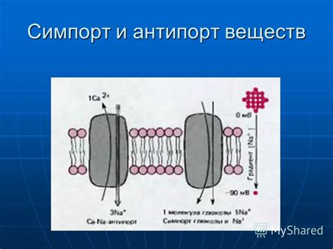 Обеспечение проникновения нужных веществ через клеточную мембрану