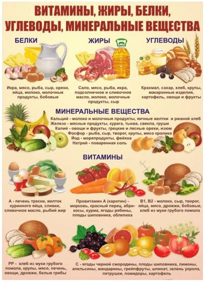 Обеспечьте правильное питание и доступ к воде