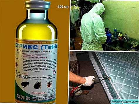 Обзор наиболее популярных химических препаратов для уничтожения ос
