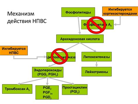 Обзор основных характеристик и принципов действия препаратов