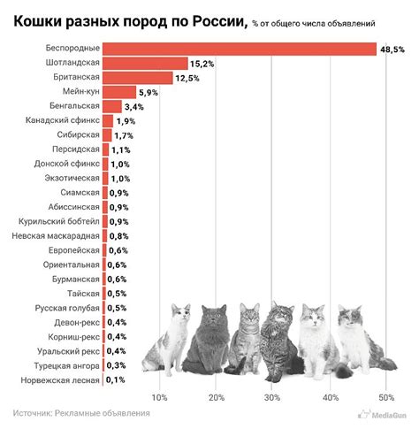 Обзор популярности имени Фокина в разных регионах России