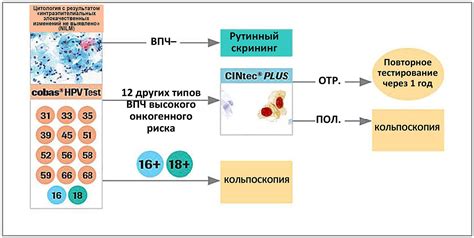 Обнаружение поддельного препарата с использованием тест-систем