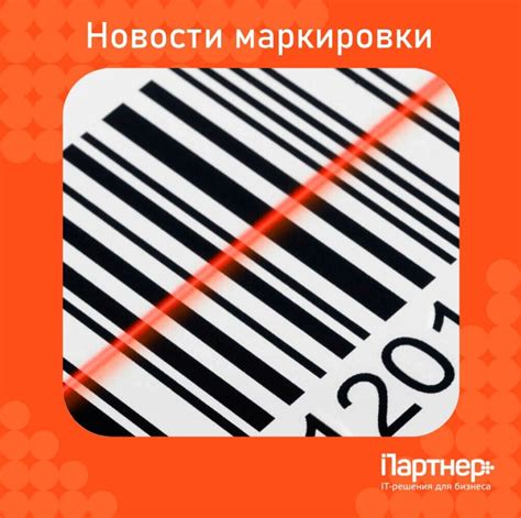 Обновление и продление разрешительного документа для маркировки автомобиля как инвалидного