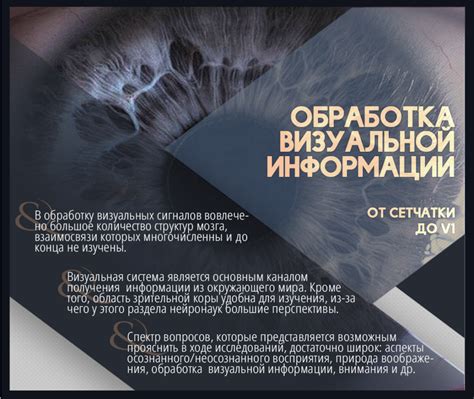 Обработка визуальной информации