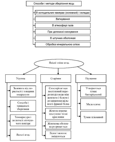 Обработка следов от пищевых жиров и растительных масел с использованием профессиональных реагентов