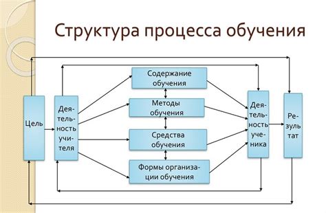 Образование и структура сальника: особенности процесса и его последствия