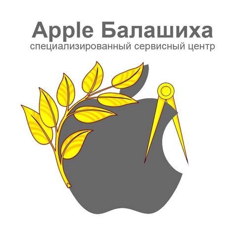 Обратитесь в специализированный центр обслуживания Apple