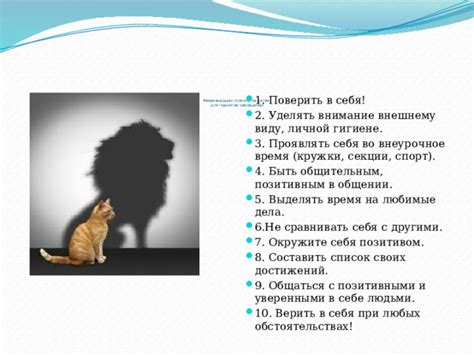 Обратите внимание на себя: восстановление личной жизни и самооценки